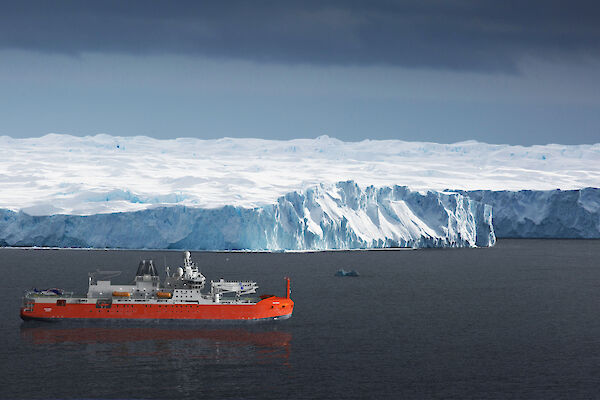 A render of the RSV Nuyina in front of an ice cliff. Image: Damen