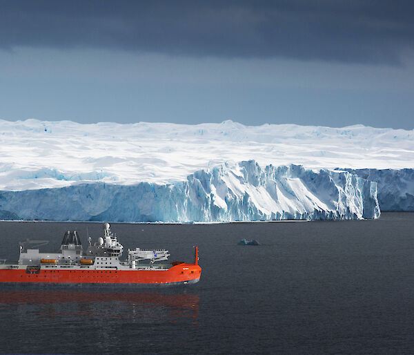 A render of the RSV Nuyina in front of an ice cliff. Image: Damen