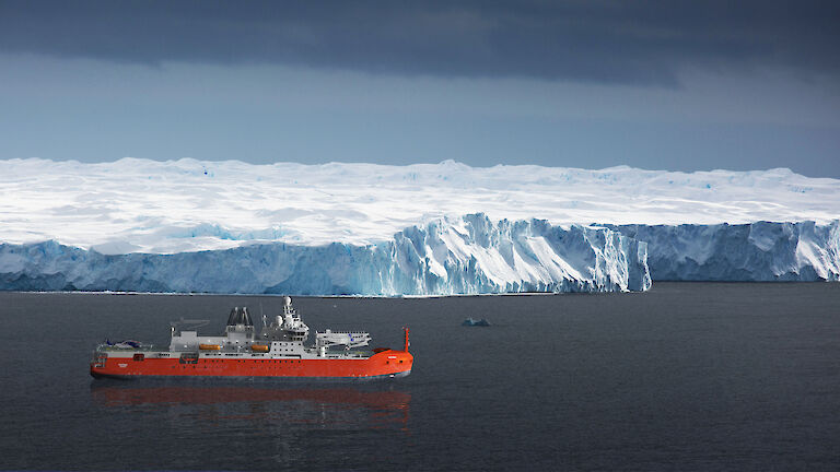 A render of the RSV Nuyina in front of an ice cliff. Image: Damen