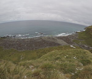 Hundreds of thousands of penguins in a large colony on the beach taken from a mountain lookout point.