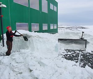 The chef digging snow