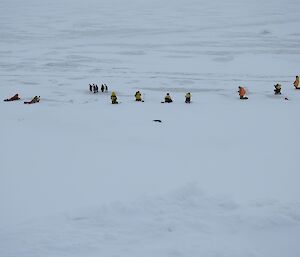 Penguins surrounded by photographers