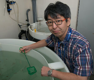 Krill scientist So Kawaguchi standing next to krill tank