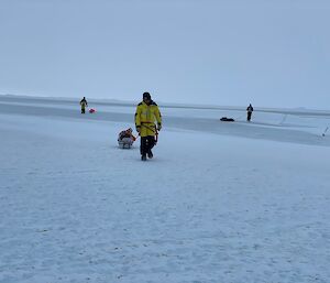 Expeditioners walking towards camera with sledges attached to their waists