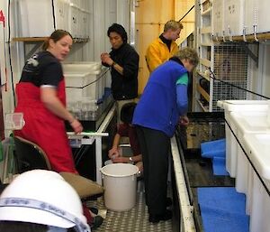 The krill team (Luke, Jacqui, Matt and Stevie) in the lab