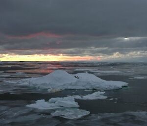 One last sea-ice sunset — with obligatory penguins