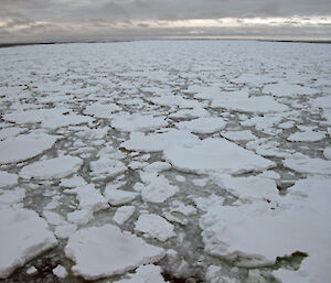 Sea ice pancakes