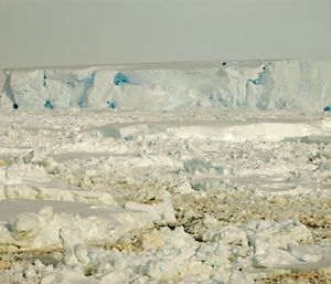 Big iceberg with sea algae