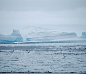 Icebergs from the ship as we near Casey station