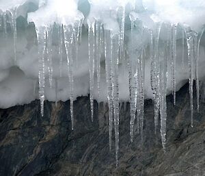 Icicle daggers hanging from an ice cliff