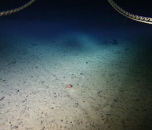 First image of sea floor at Bruce Rise
