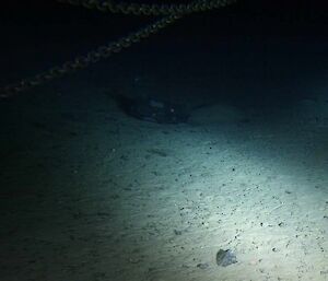 Bottle on sea floor