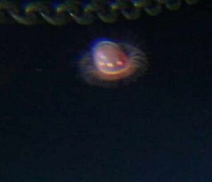 UFO (jellyfish)