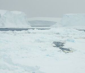 Surrounded by ice on New Year’s Day