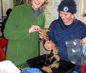 Karen Miller (left) and PhD student, Kirrily Moore, excited to find some coral