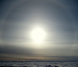 Solar halo and sun dog