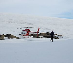 Helicopter at walkabout rocks