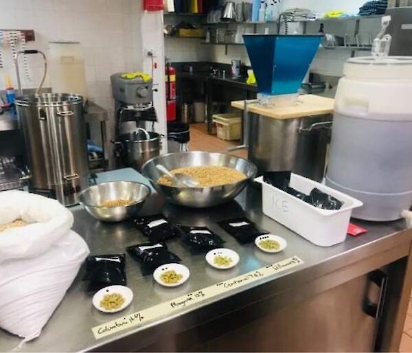 A kitchen bench displaying the brewing ingredients.