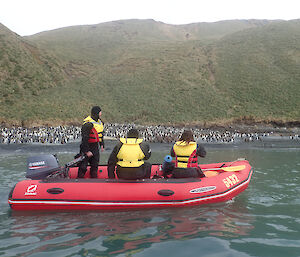 An IRB floats past Sandy Bay. Hundreds of penguins line the beach.