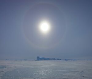 An iceberg on the horizon of the sea ice with a 360 degree sun halo above