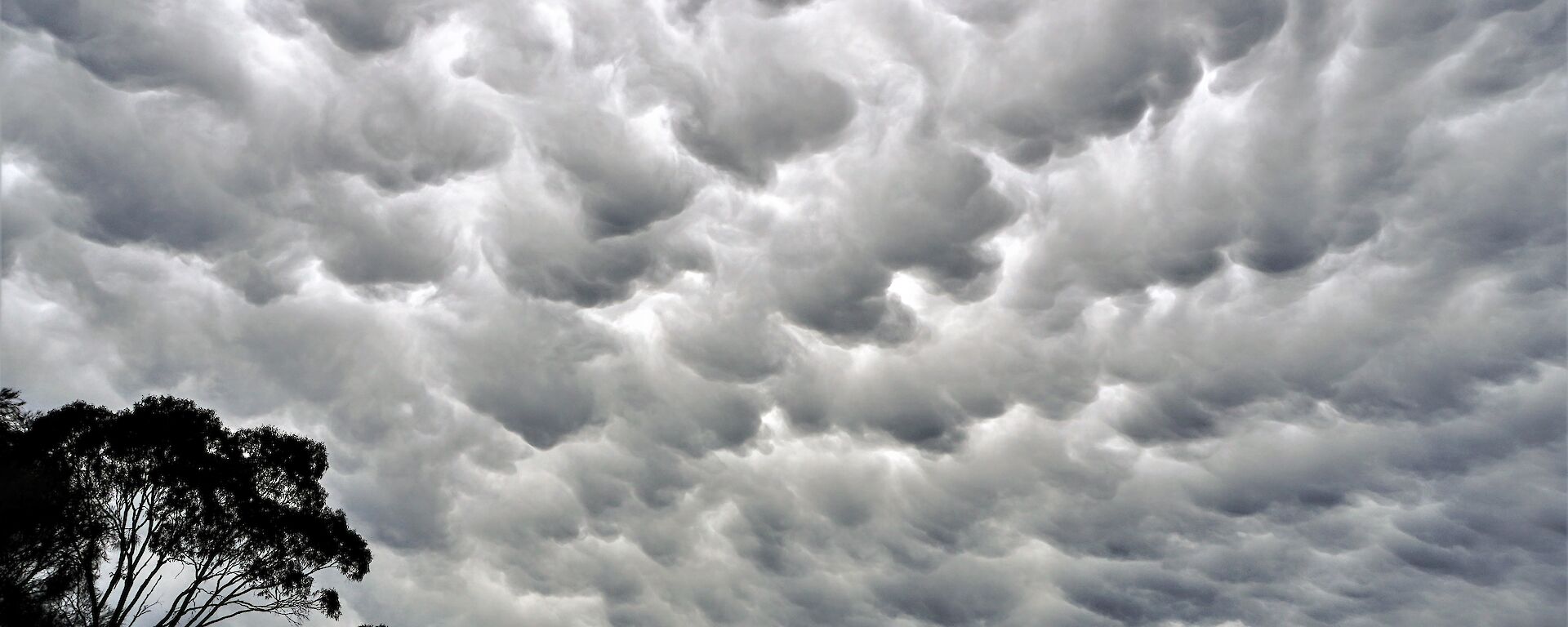 mammatus clouds