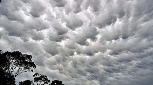 mammatus clouds