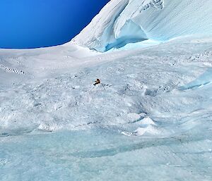 Ancient wall of ice scoured by winds.  Expeditioner sits in the middle of shot far away in the distance