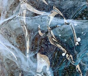 A close up shot of some sea ice with bubbles and grains visible