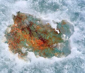 Close up of sea ice  through which can be seen a clump of sea weed, frozen under the ice