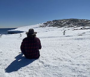 An expeditioner sits on the ice with his back to camera as 3 Adelie penguins walk towards him