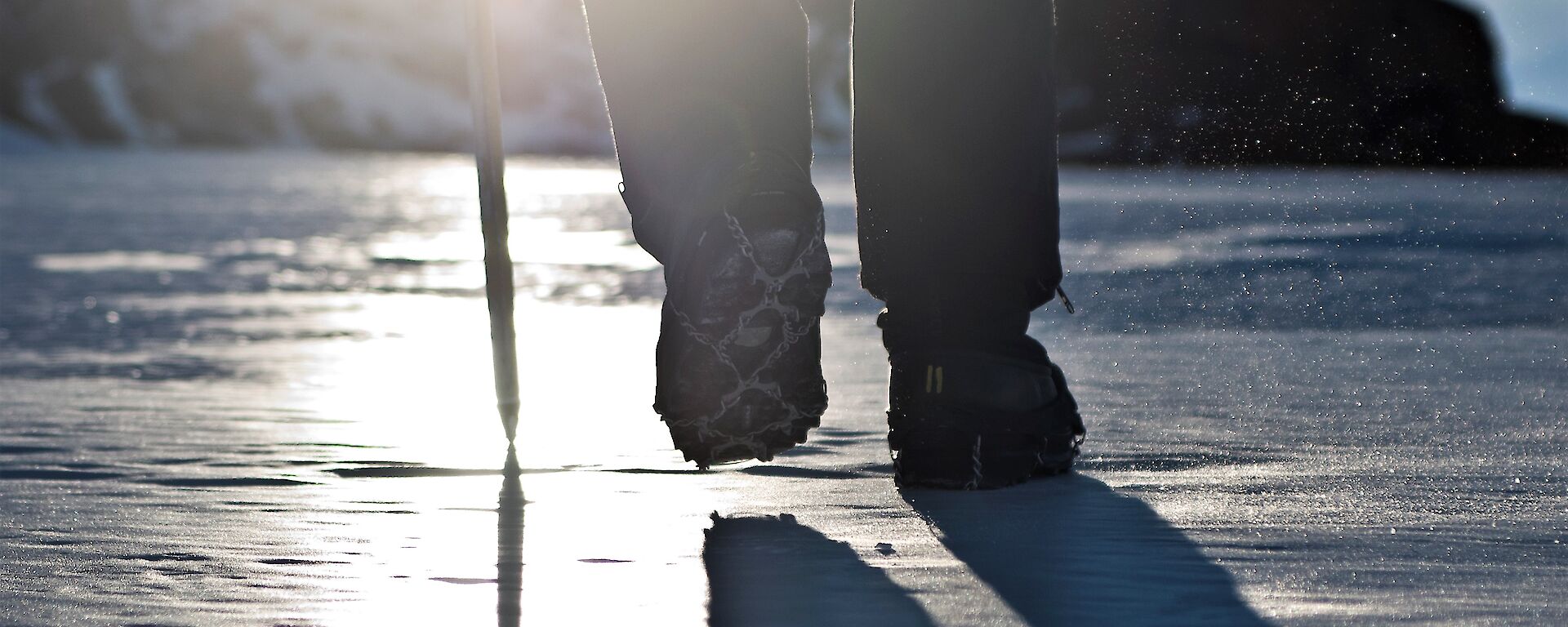 Silhouette of feet and legs from behind walking on ice.