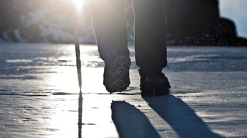 Silhouette of feet and legs from behind walking on ice.