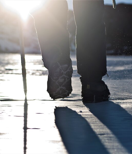 Silhouette of feet and legs from behind walking on ice.