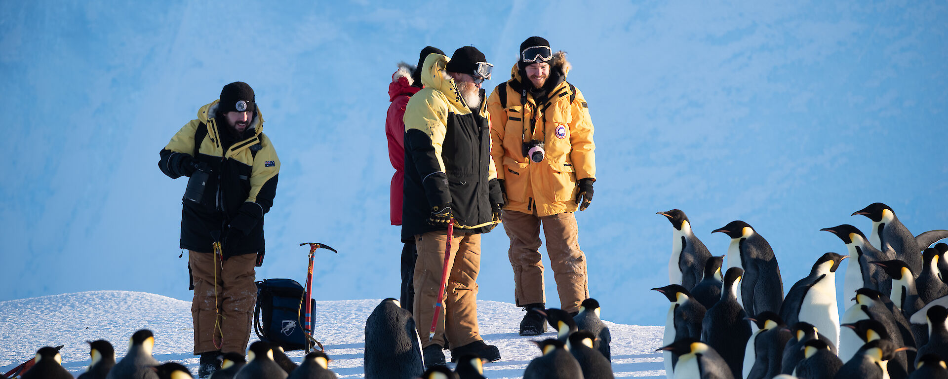 Emperor penguins surround several expeditioners