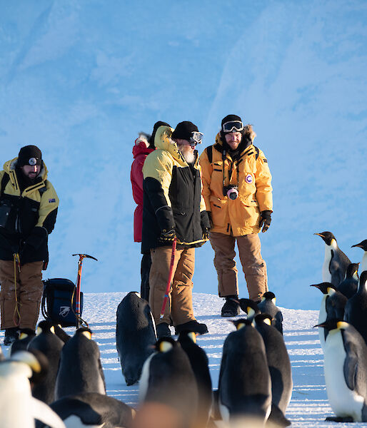Emperor penguins surround several expeditioners