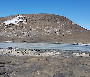 A rocky foreground looking towards a frozen lake with a colony of Adelie penguins. A hill in the background.
