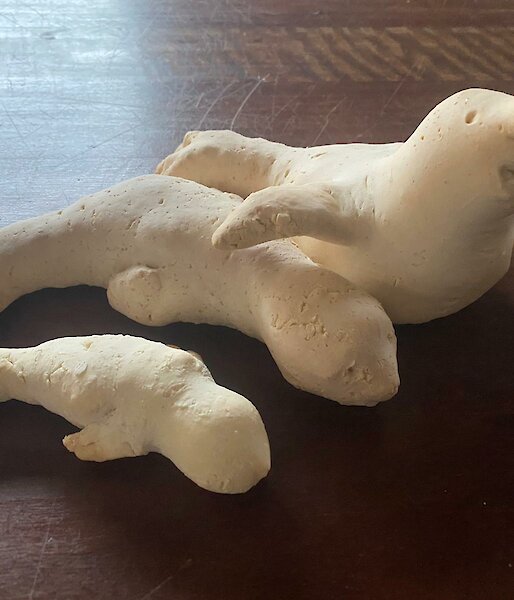 A father, mother and baby elephant seal made out of gingerbread dough