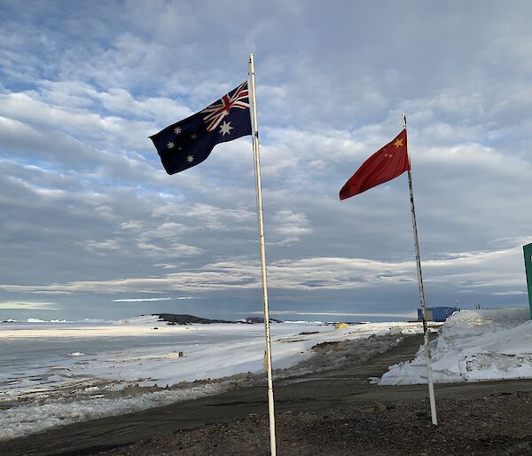 flags at Antarctica