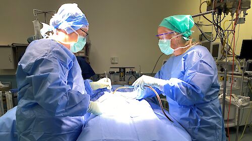 Two women in surgical scrubs stand over a hospital operating theatre