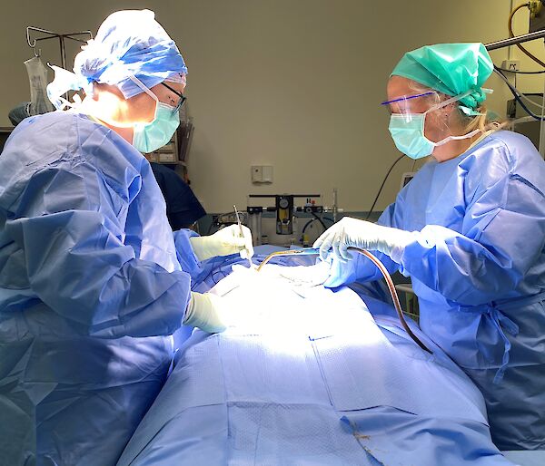 Two women in surgical scrubs stand over a hospital operating theatre