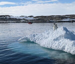 Two penguins on a floating ice berg with expeditioner boat in the background