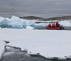 Four expeditioners in a dinghy on the icy water.  One expeditioner is waving to a bird in the sky.