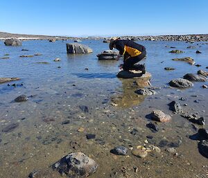 Expeditioner in the shallows  leaning on a rock scooping water samples out of the lake