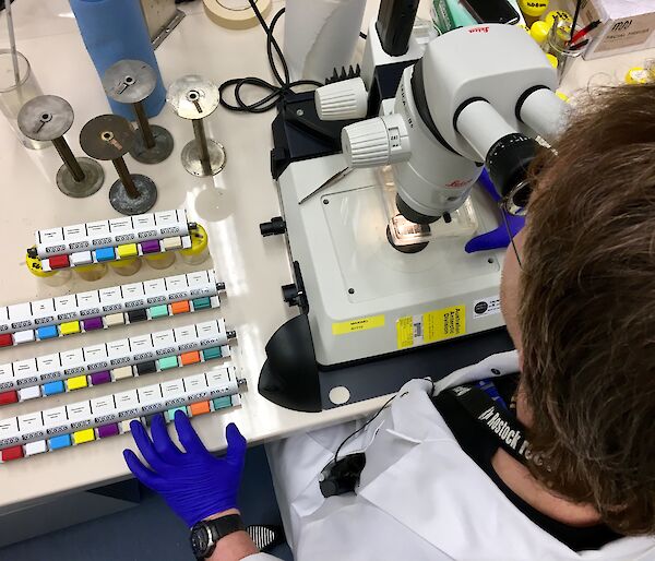 man at microscope with counter