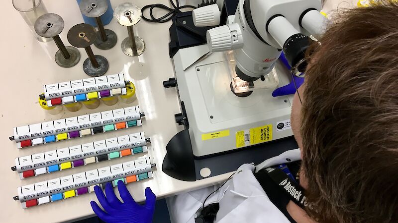 man at microscope with counter