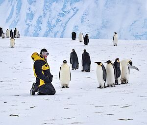 Man in yellow and black clothing kneels on ice with emperor penguins