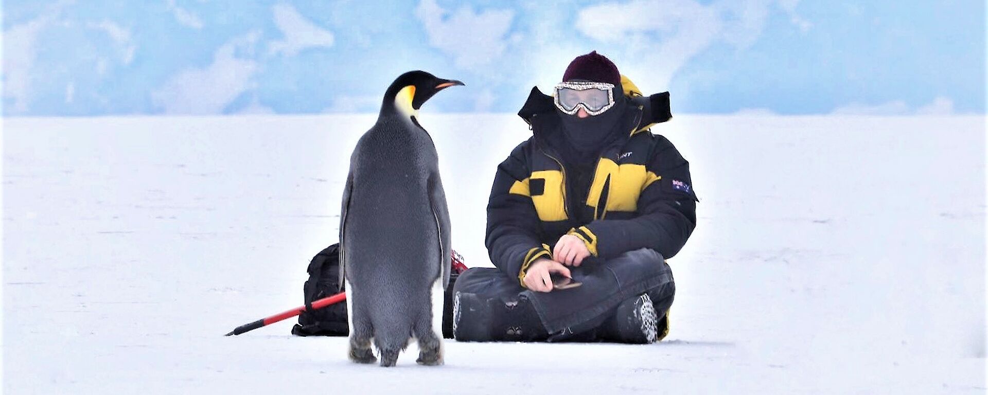 Man sits on the ice with emperor penguin