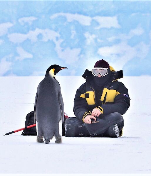 Man sits on the ice with emperor penguin
