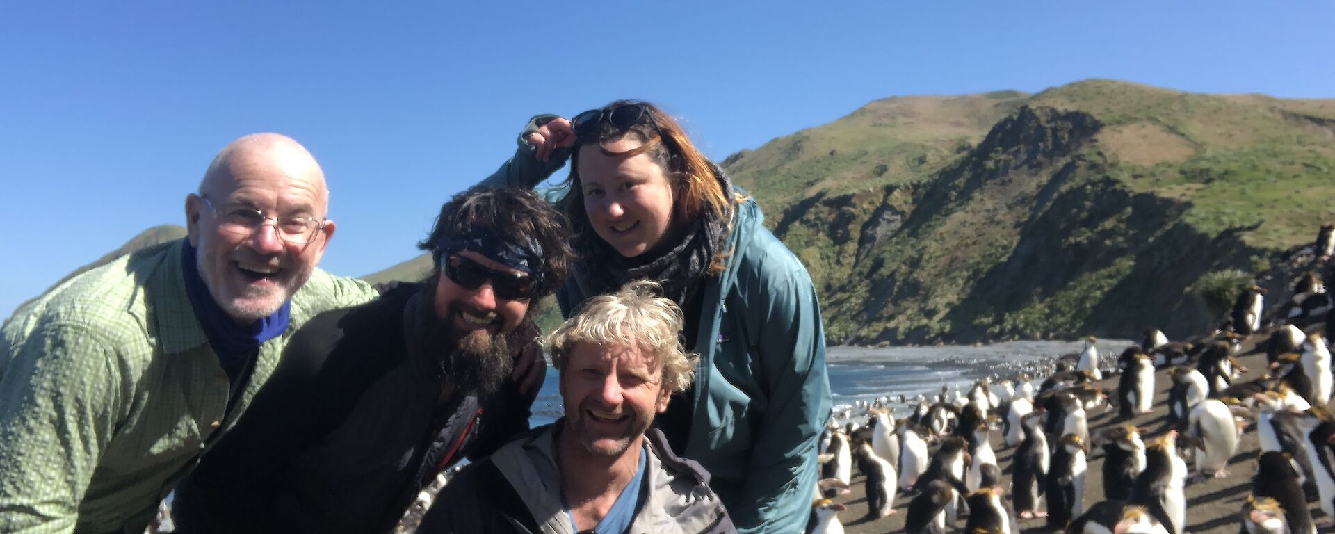 Four expeditioners posing in front of some royal penguins