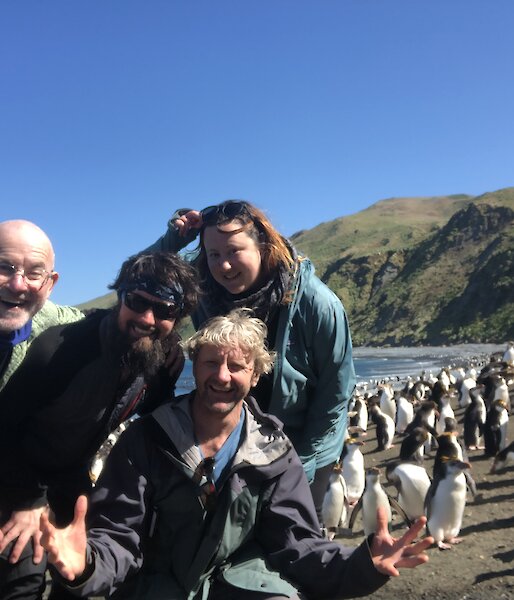 Four expeditioners posing in front of some royal penguins